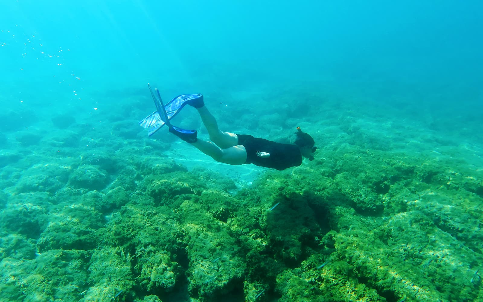 Alanya Boat Day Tour with a Guide tickets in Antalya - Features | TickYourList