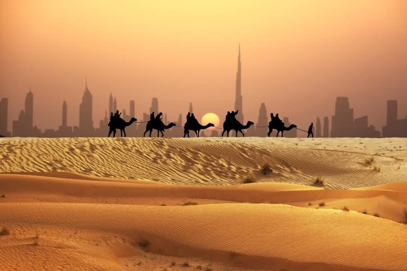 Dubai Desert Safari Experience