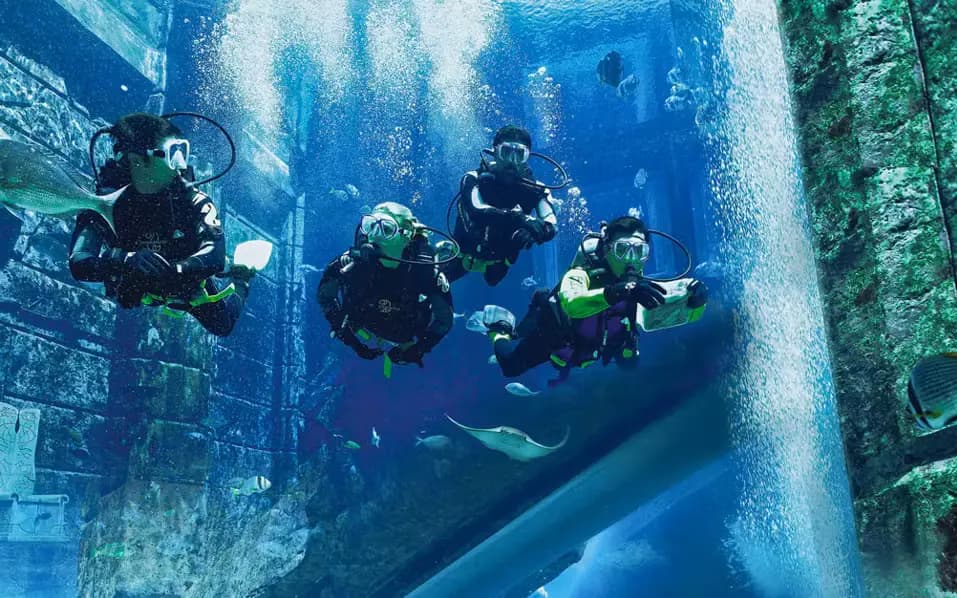 Scuba Dive at Atlantis Aquaventure: A Bucket-List Dive in the Heart of Dubai