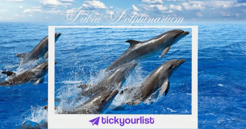 Dubai Dolphinarium