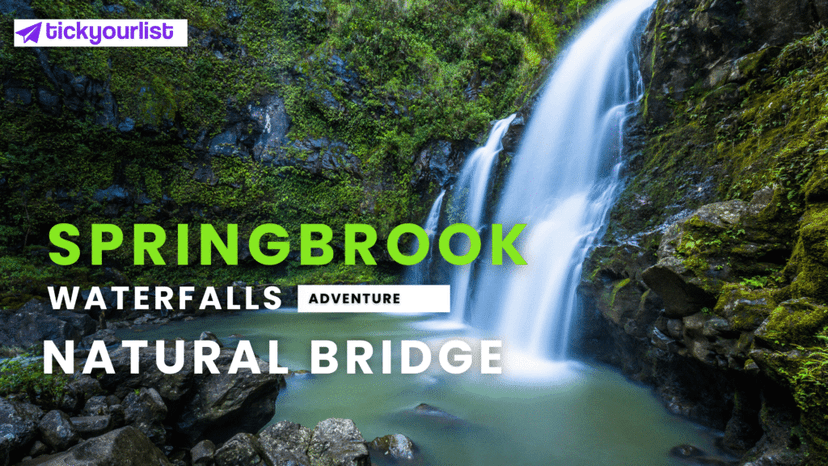 springbrook waterfalls