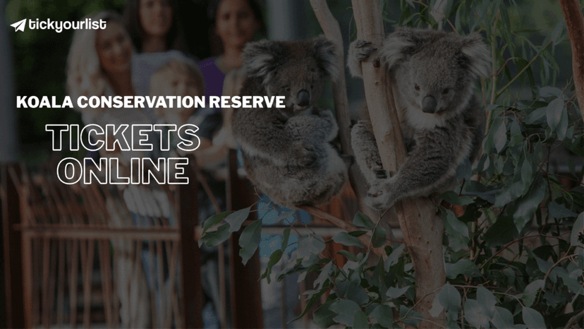 koala conservation reserve