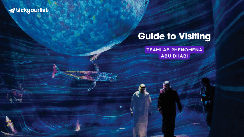 teamlab phenomena abu dhabi