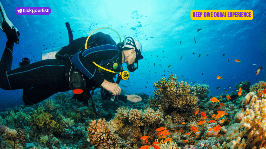 Deep Dive Dubai