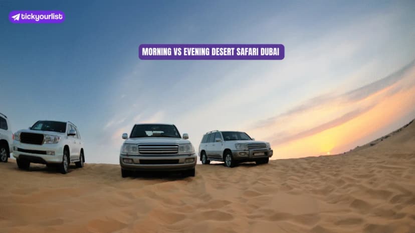 Evening Desert Safari