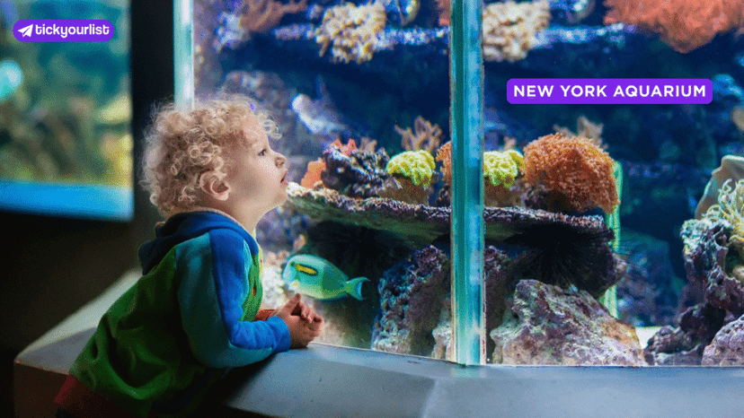 New York Aquarium