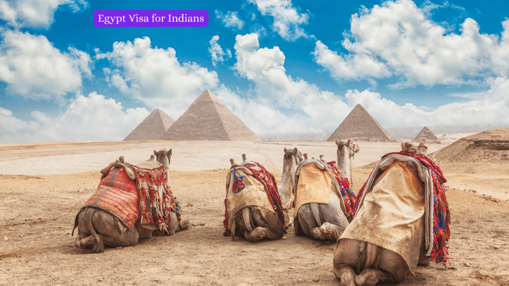 Egypt Visa for Indians: Visa Types, Requirements, and Everything You Need to Know
