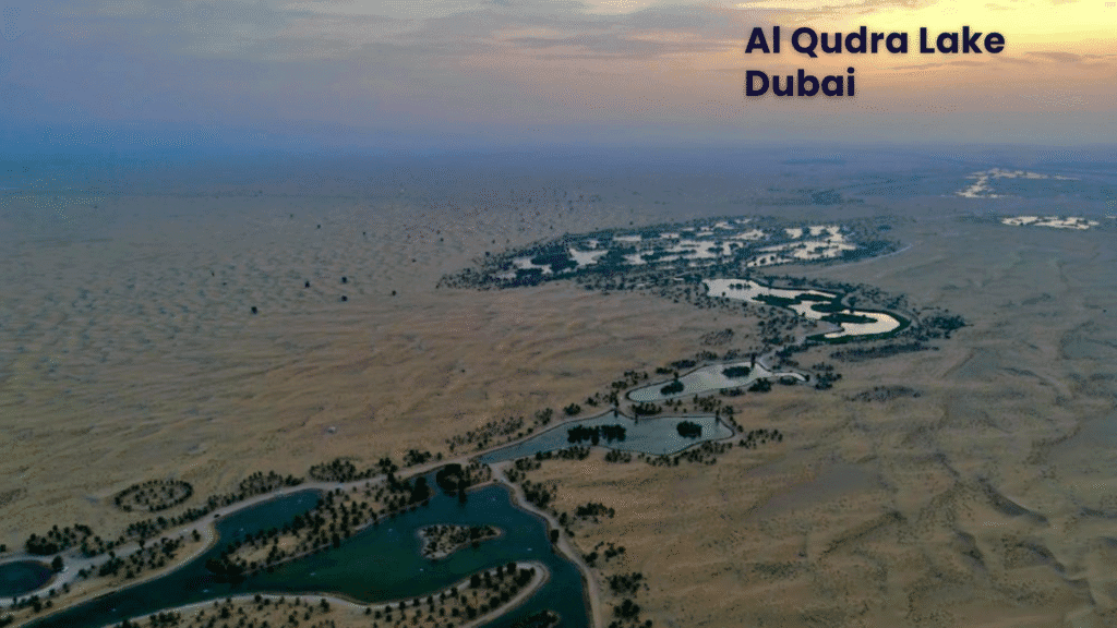 Al Qudra Lake Dubai Camping, Sunset Views and Wildlife