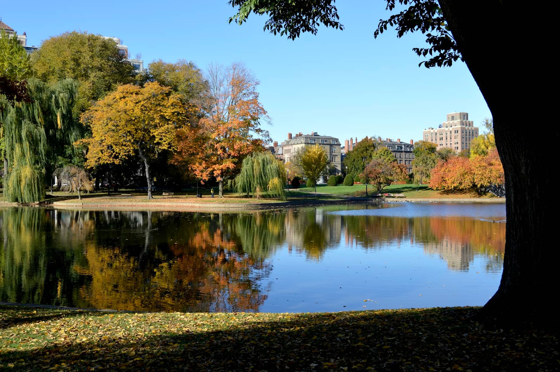 Boston