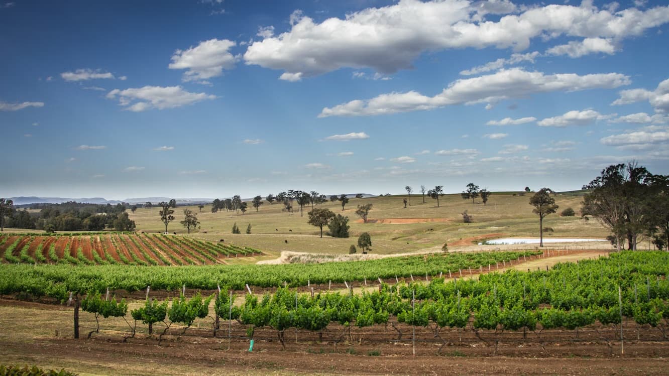 Things to do in Hunter Valley