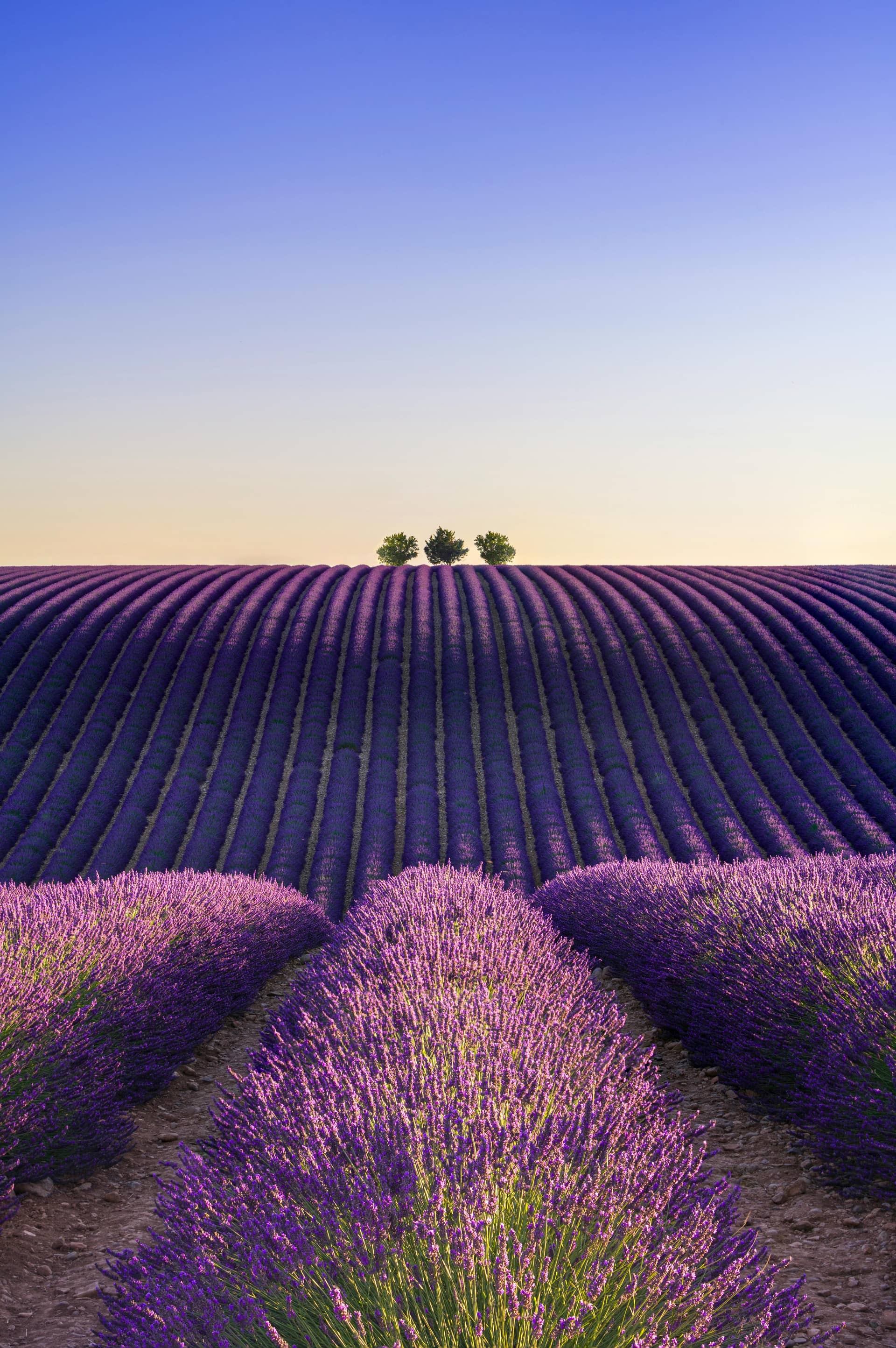 Provence