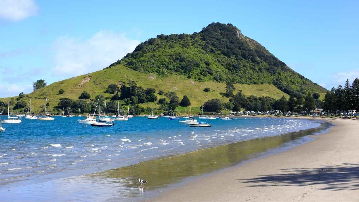 Tauranga