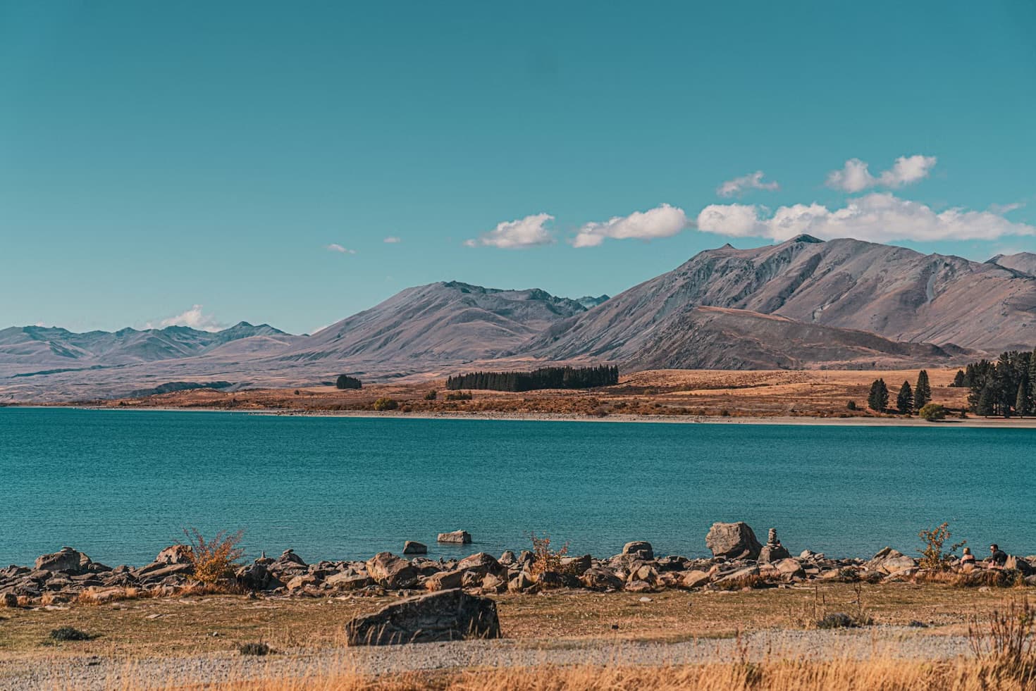 Things to do in Tekapo