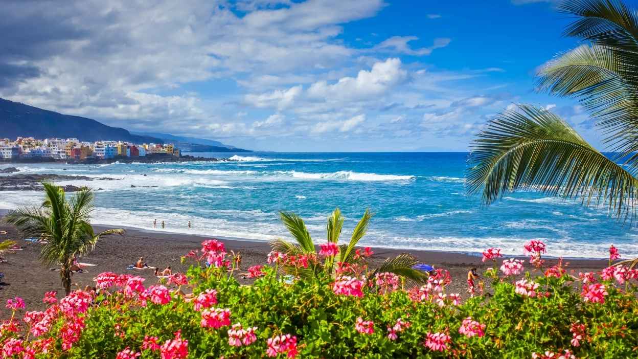 Things to do in Tenerife