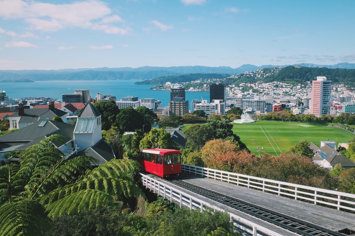 Things to do in Wellington