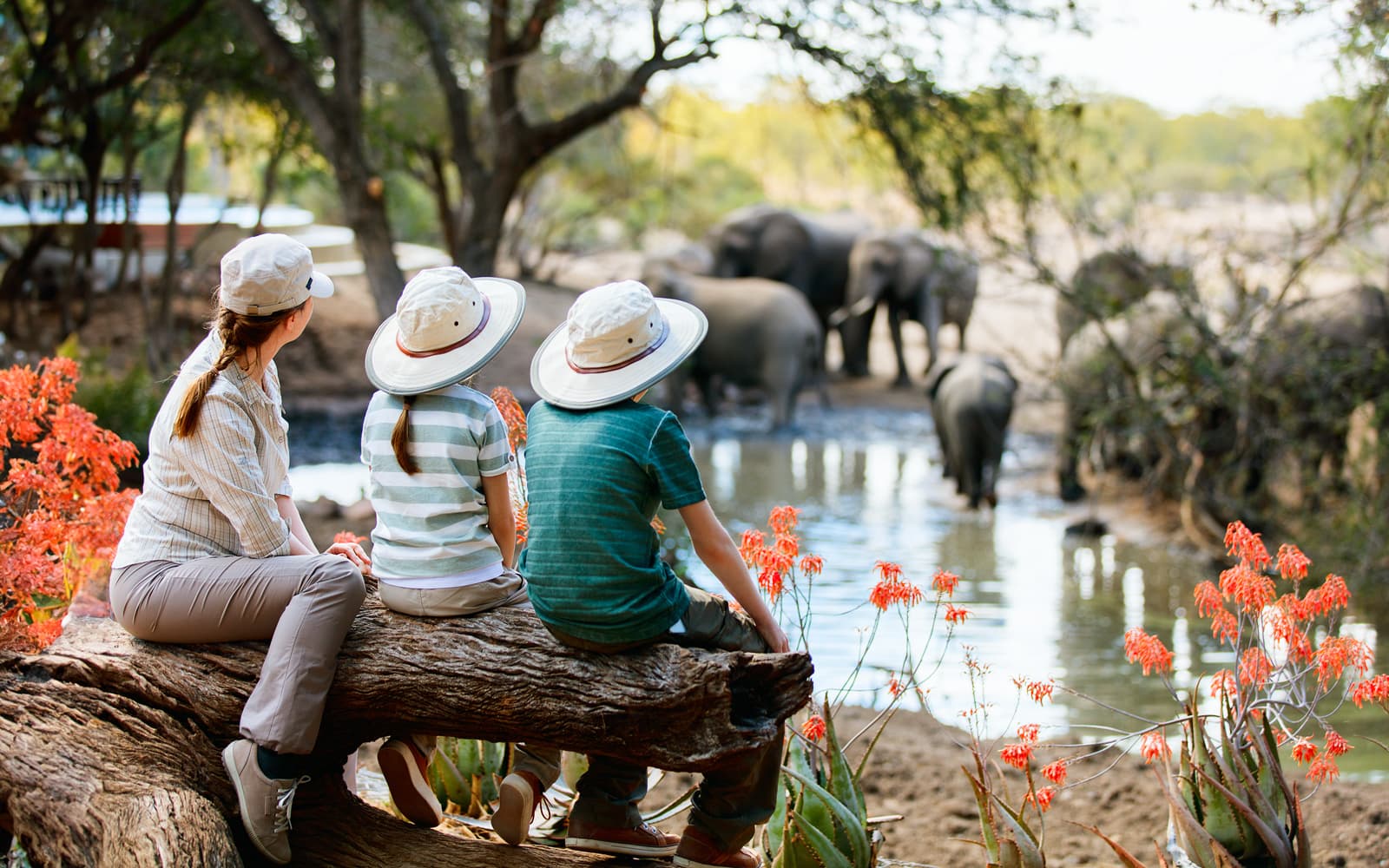 Best Nature & Wildlife in Malaga | TickYourList
