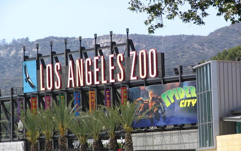 1166-los-angeles-LA-zoo-1.jpg