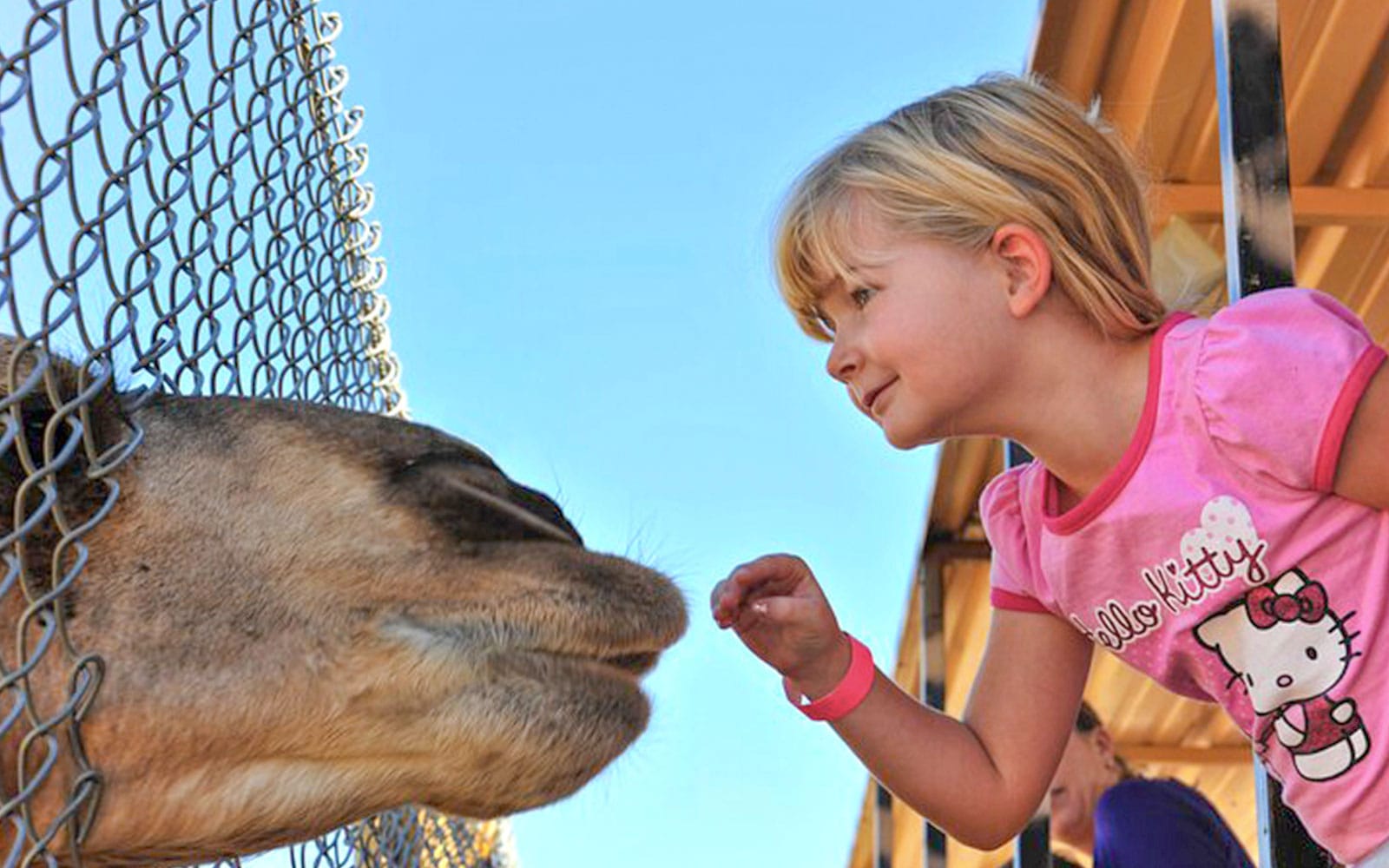 5cd4994e6a5f361c63207c30d365e7c4-30828-camp-verde-out-of-africa-wildlife-park-admission-ticket-01.jpg
