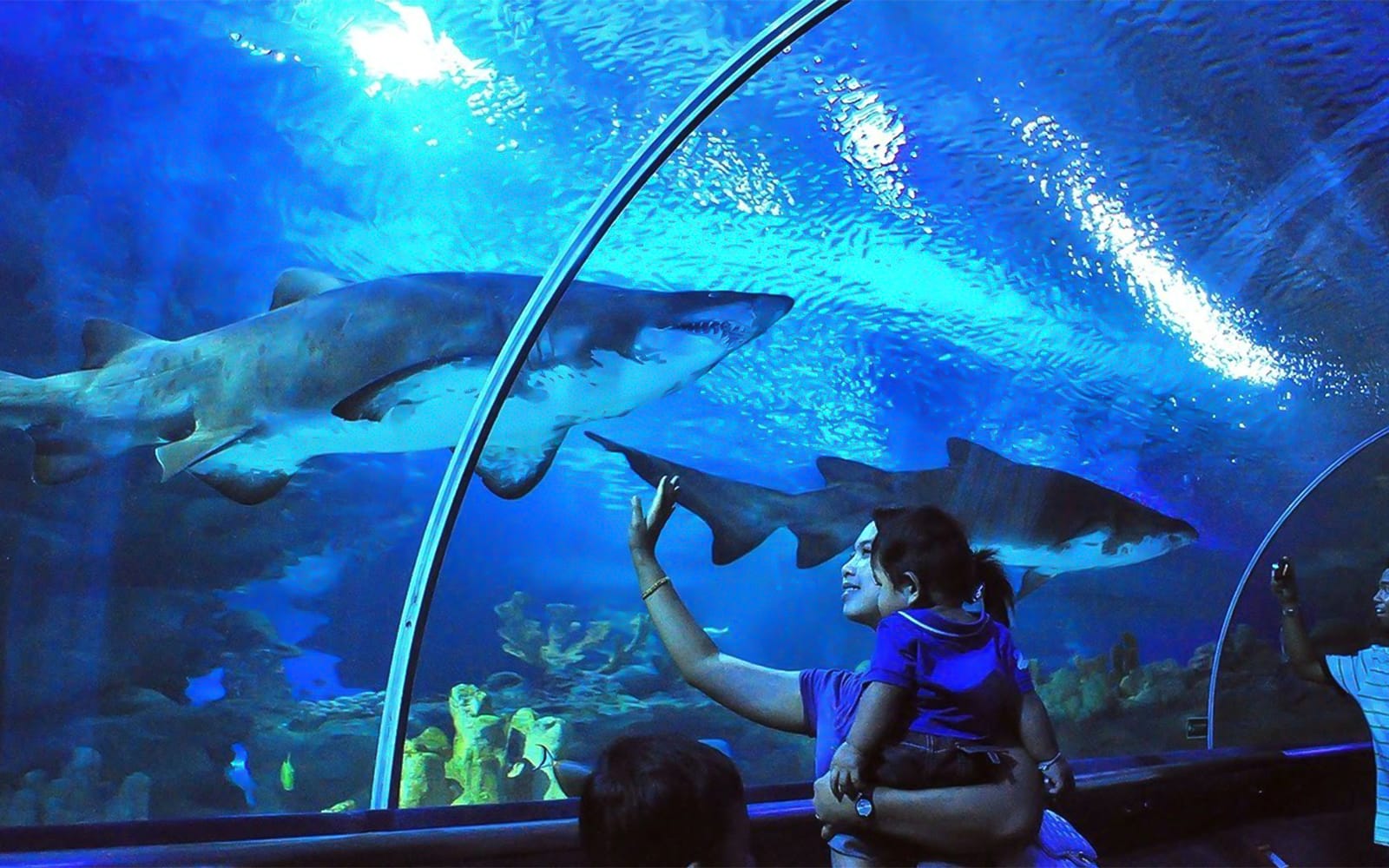 b31e5ab1a0fe378c368cce92dc84e363-Edited-kuala-lumpur-combo---aquaria-klcc---malaysia-4g-tourist-local-sim-card-01.jpg