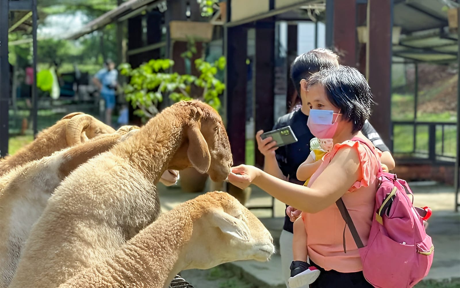 7789b3bebd8739db5cd91595e9da6f4b-21569-selangor-g2g-animal-garden--05.jpg