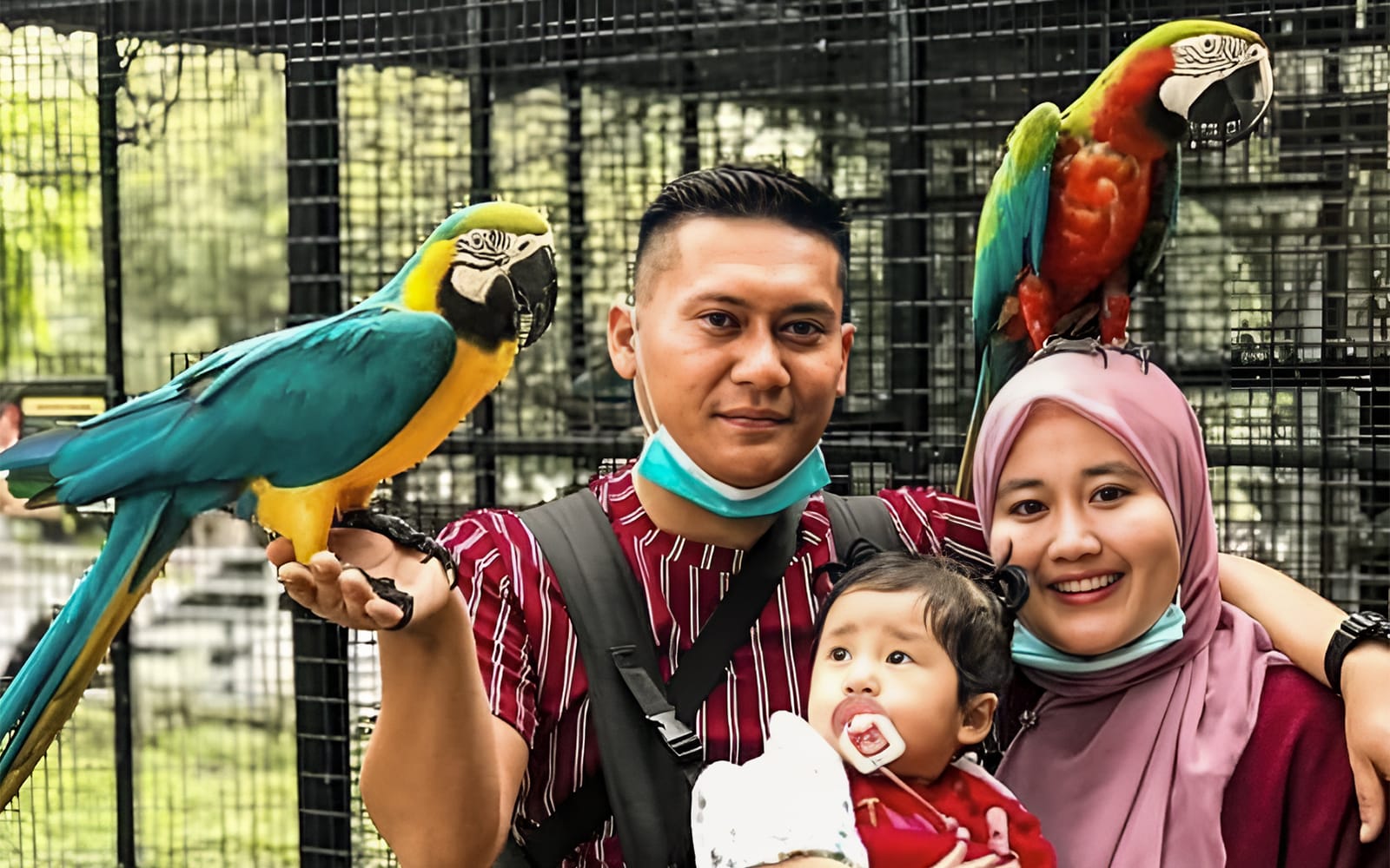 c2036bb342b6a277d7032a84e833322e-21569-selangor-g2g-animal-garden--05.jpg