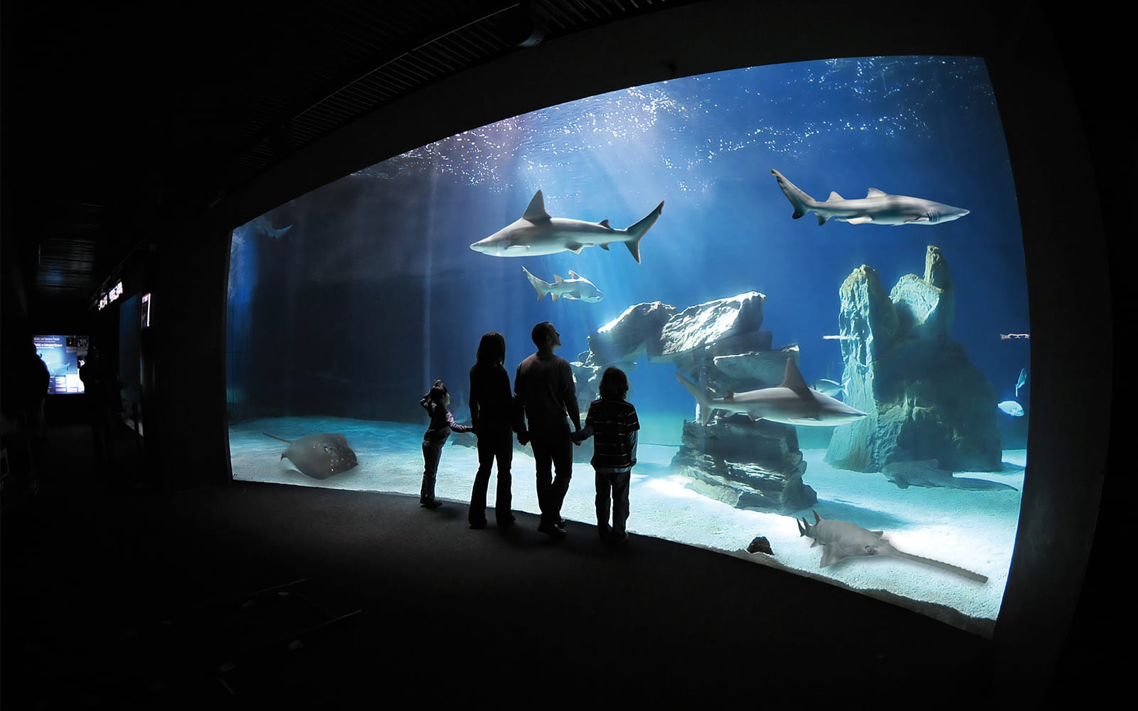 d6ec0d885372b35b0c2c04aed9f59eb3-15877-genoa-ticket-aquarium---lunch-01.jpg
