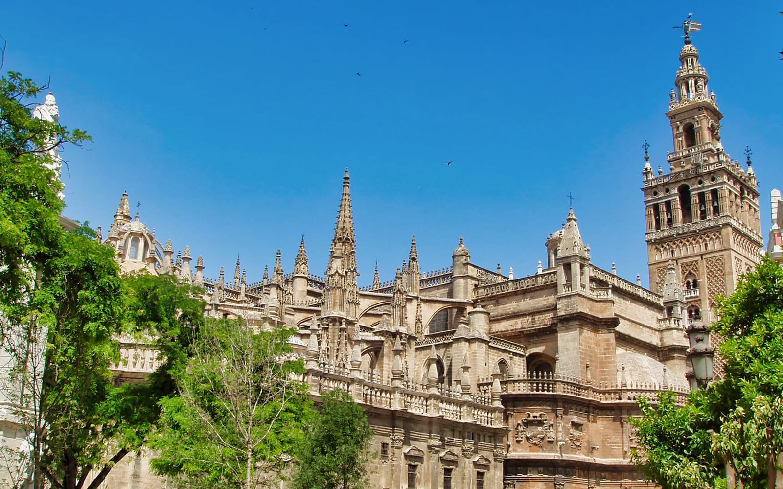 d110d583-b721-460e-b8d6-fc3fb3fe1762-9549-seville-skip-the-line-guided-tour-to-cathedral---giralda-towers-05.jpg