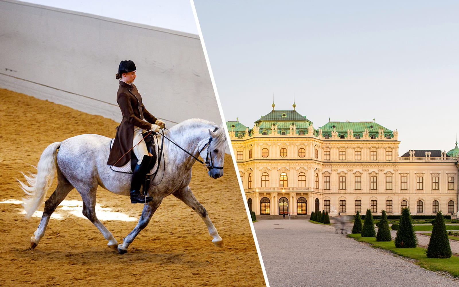 46556a8c002c15beb0399b5f729c7e0d-27725-vienna-vienna-spanish-riding-school-training-with-music-tickets---direct-entry-ticket-to-the-upper-belvedere-palacetours-01.jpg