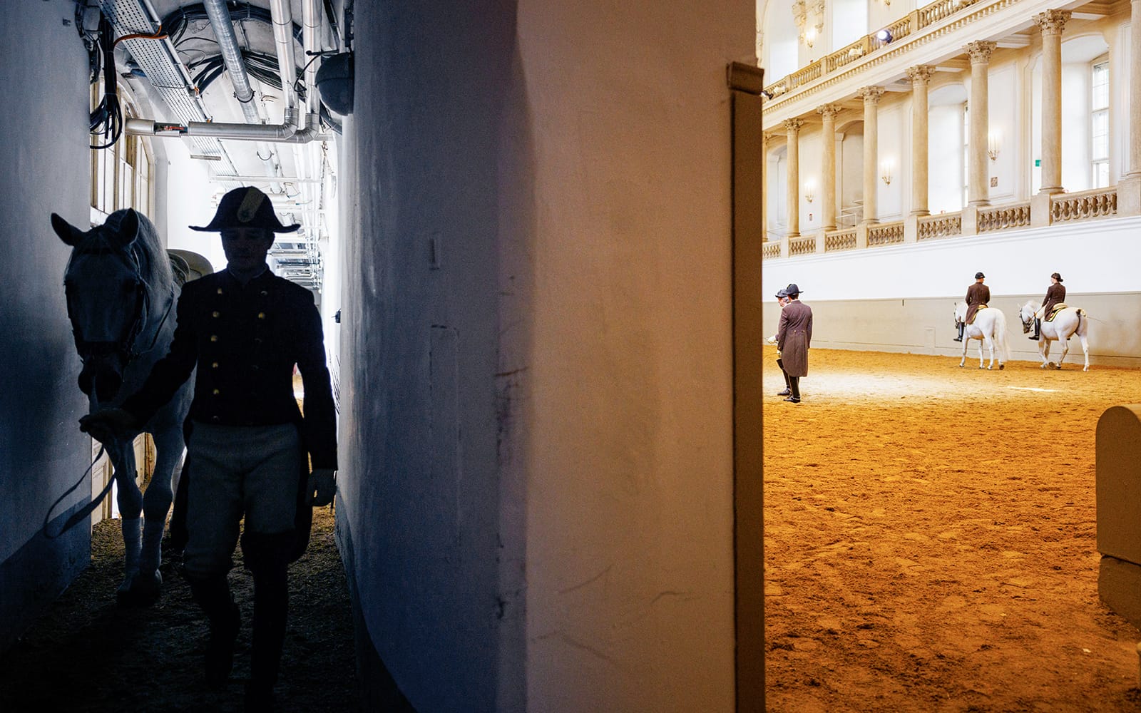 c7a317c127497a442f8057e3ea055ac4-25771-vienna-spanish-riding-school-training-04.jpg