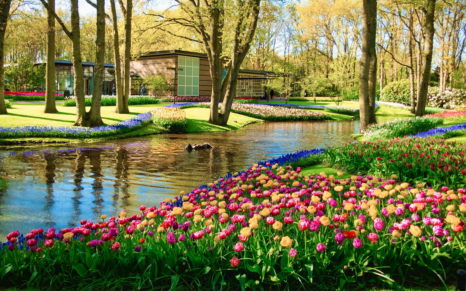 Parks in Warsaw | TickYourList