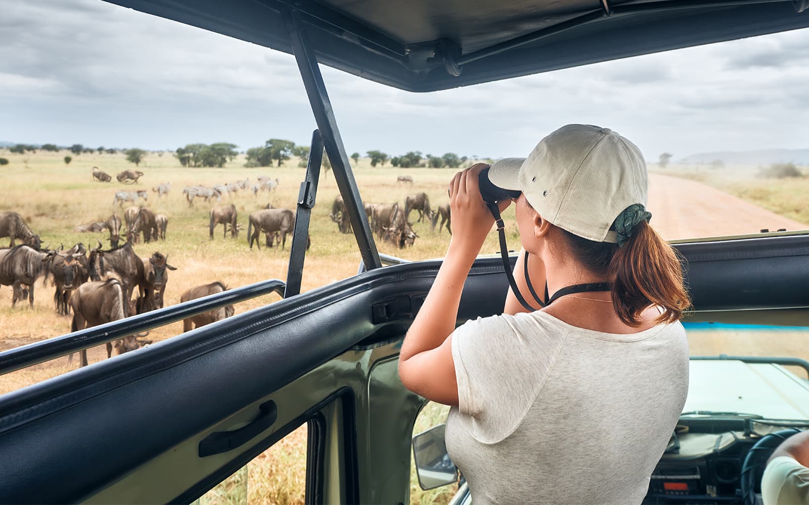 Safari Tours in Catania | TickYourList