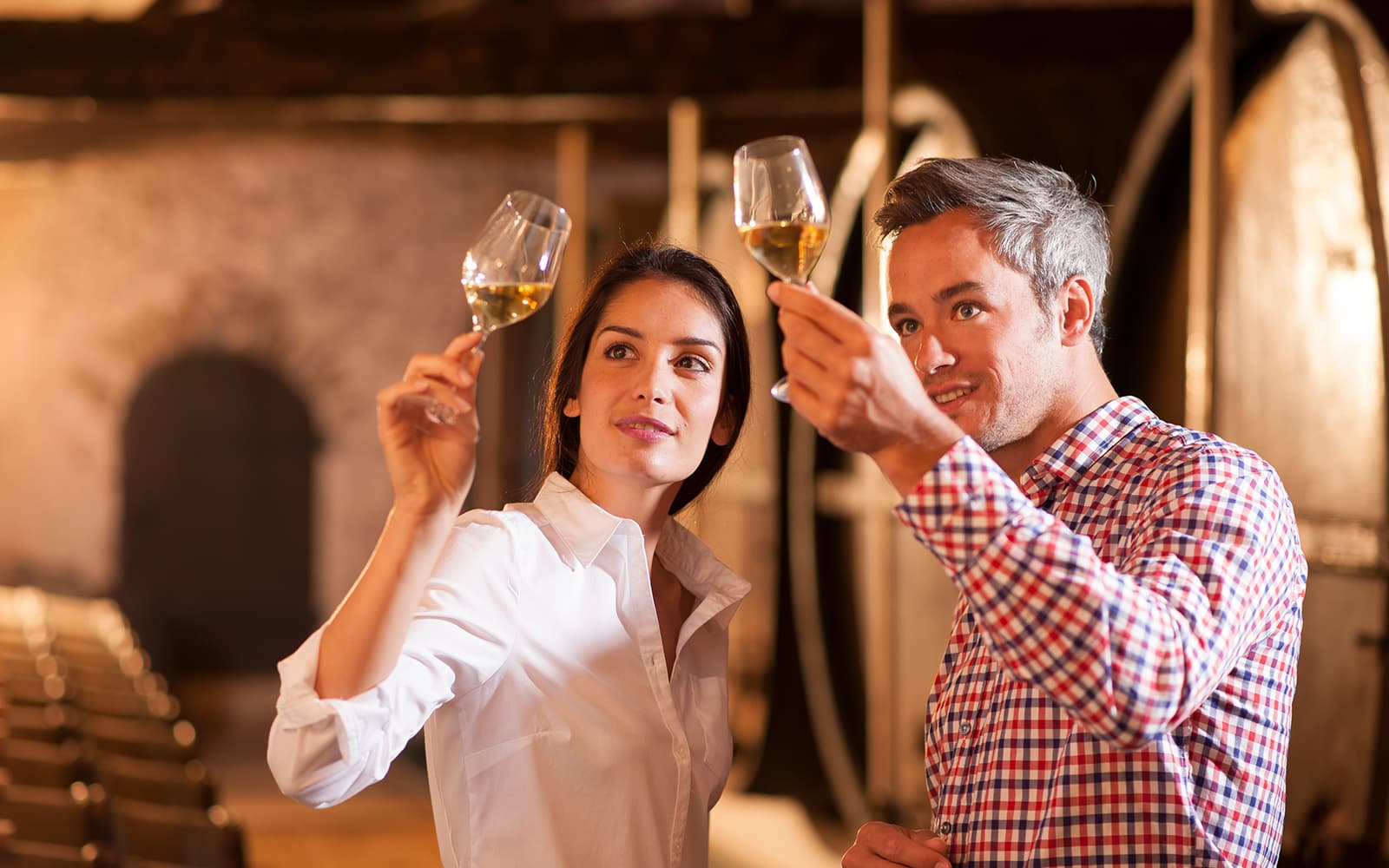 Winery Tours in Bordeaux | TickYourList