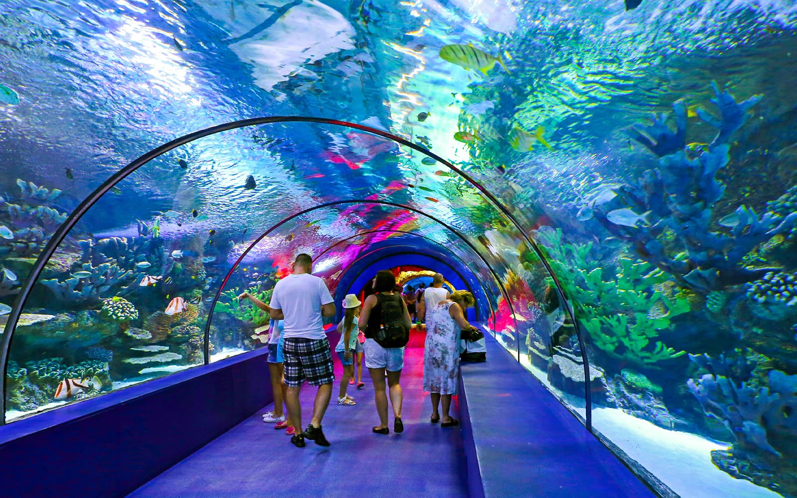 Aquariums in Auckland | TickYourList