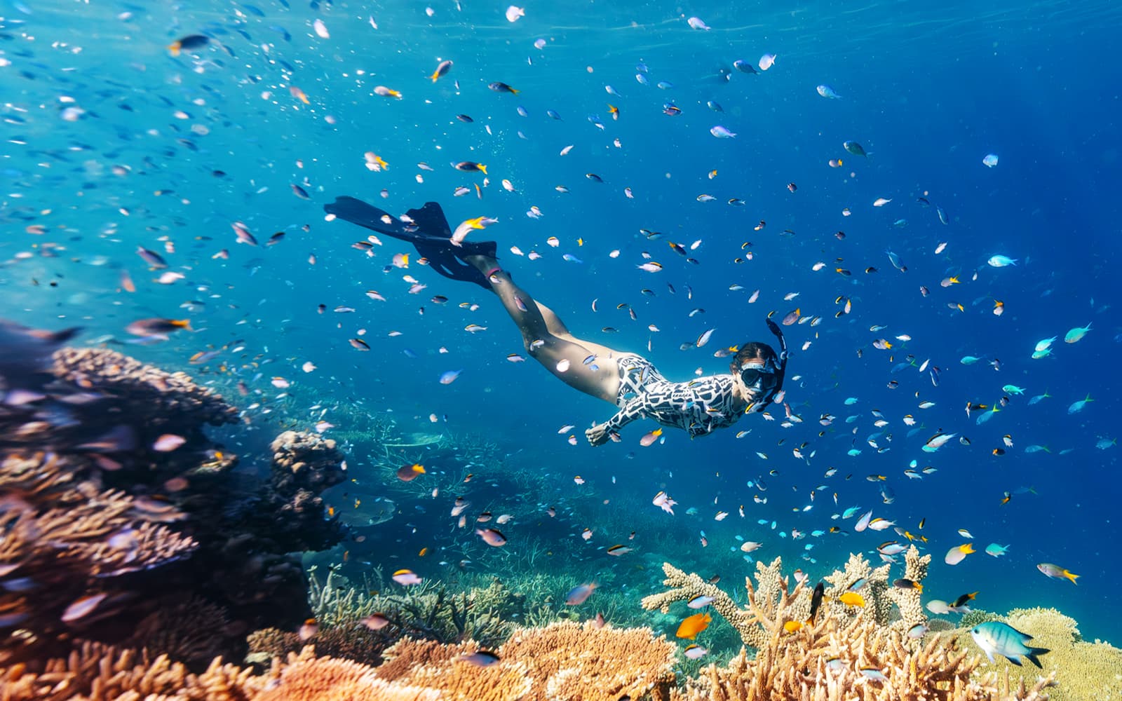 Snorkeling in Sharm el-Sheikh | TickYourList