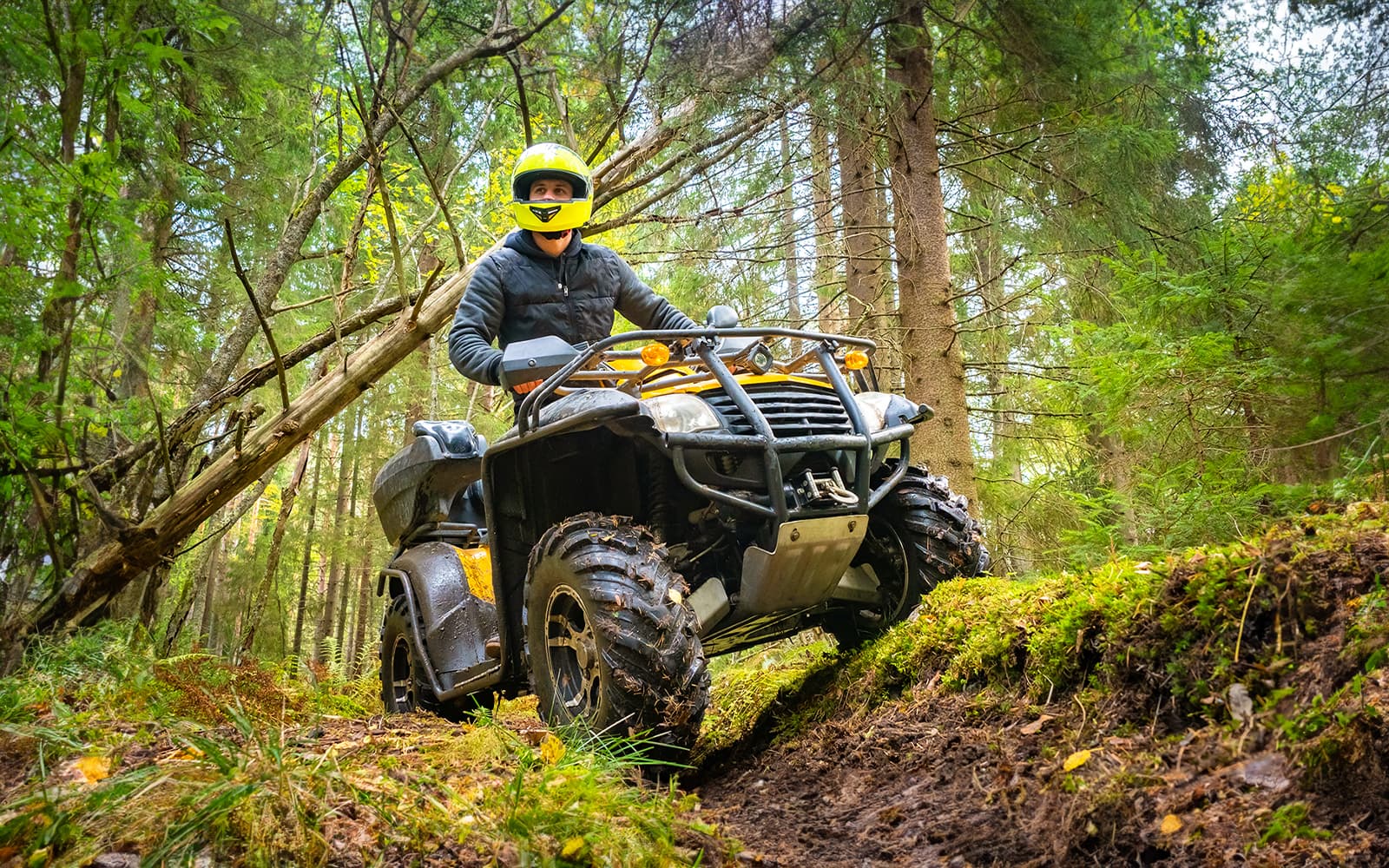 Quad Biking in Bali | TickYourList