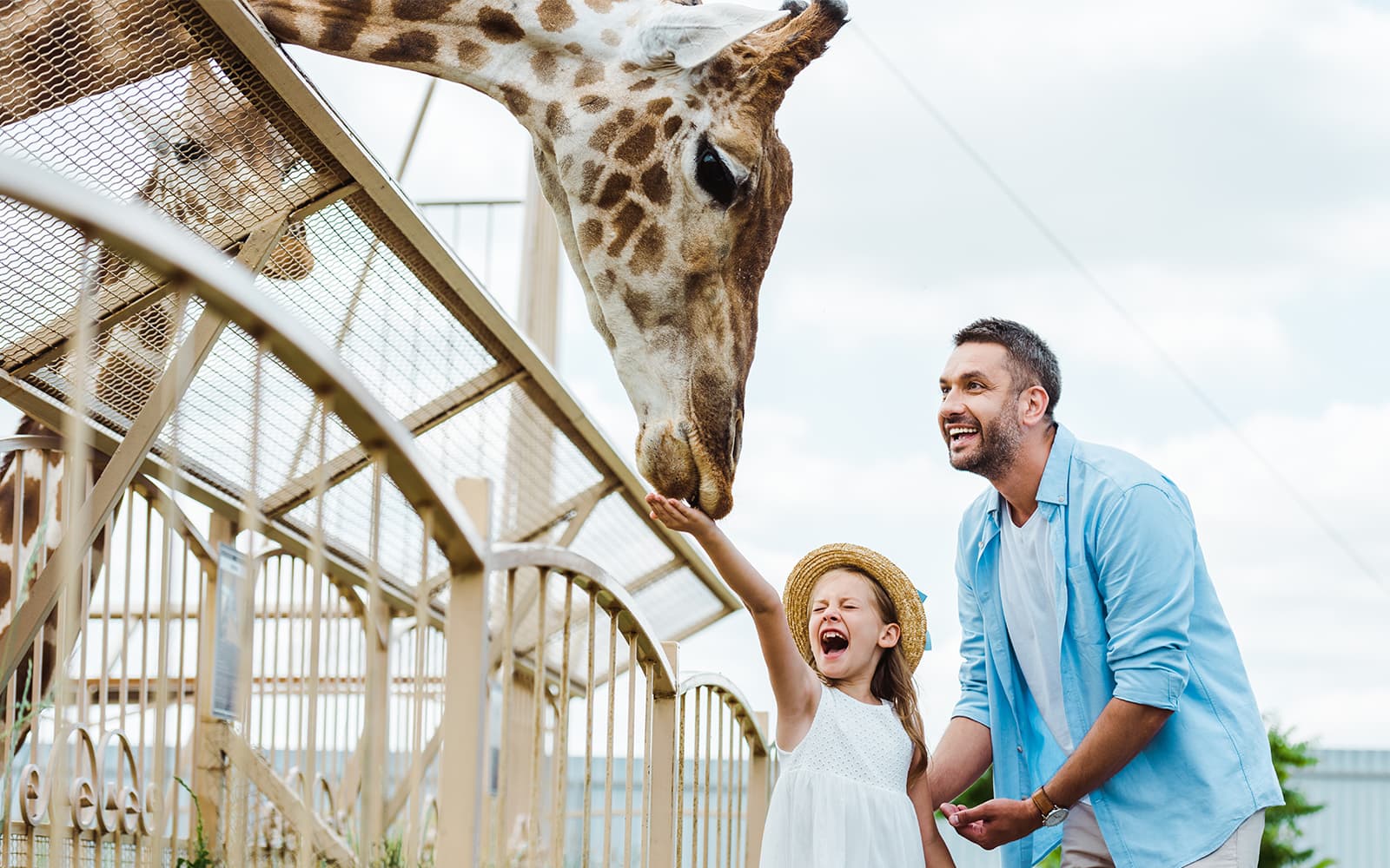 Zoos in Sydney | TickYourList
