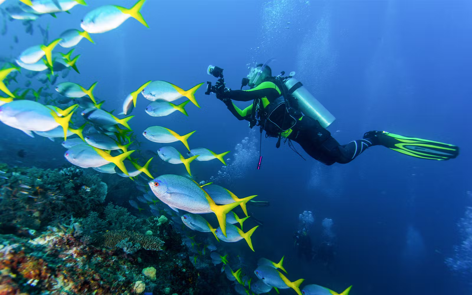 Best Scuba Diving in Okinawa | TickYourList