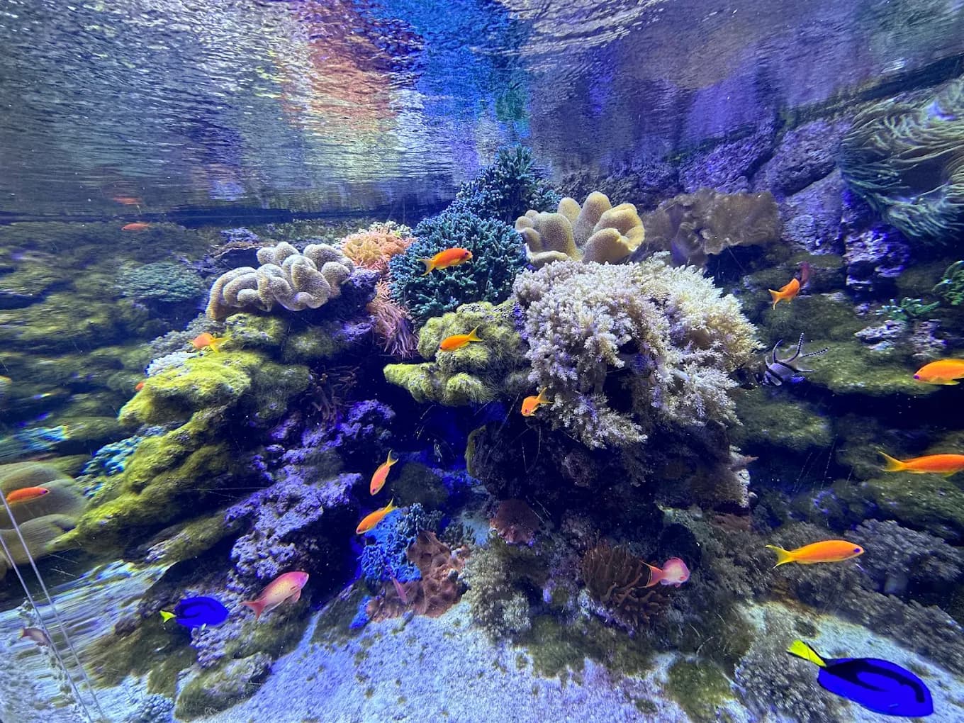 Aquariums in Budapest | TickYourList