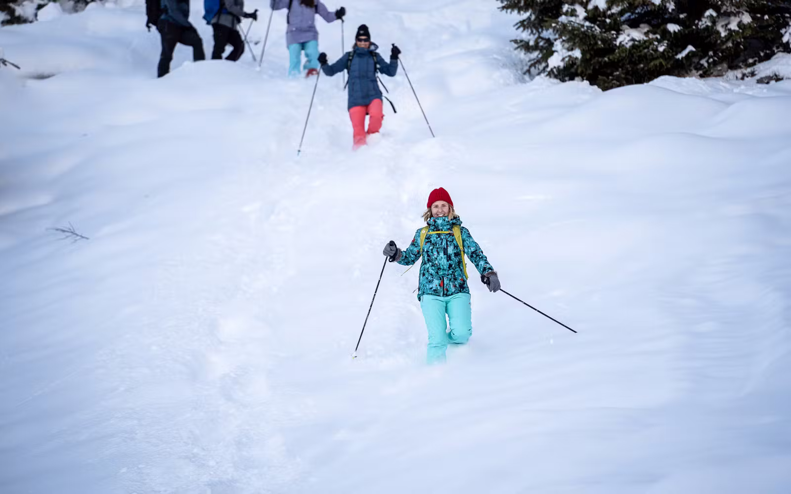 Snowshoeing in Interlaken | TickYourList