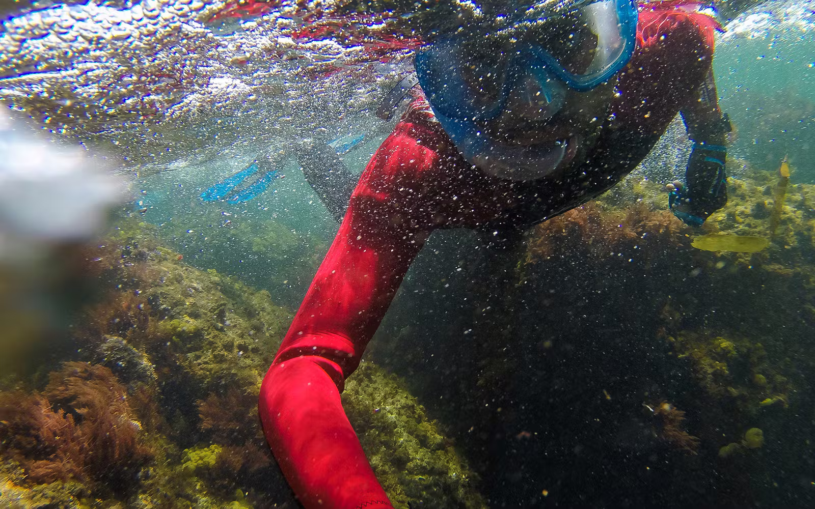 Snorkeling in Lisbon | TickYourList