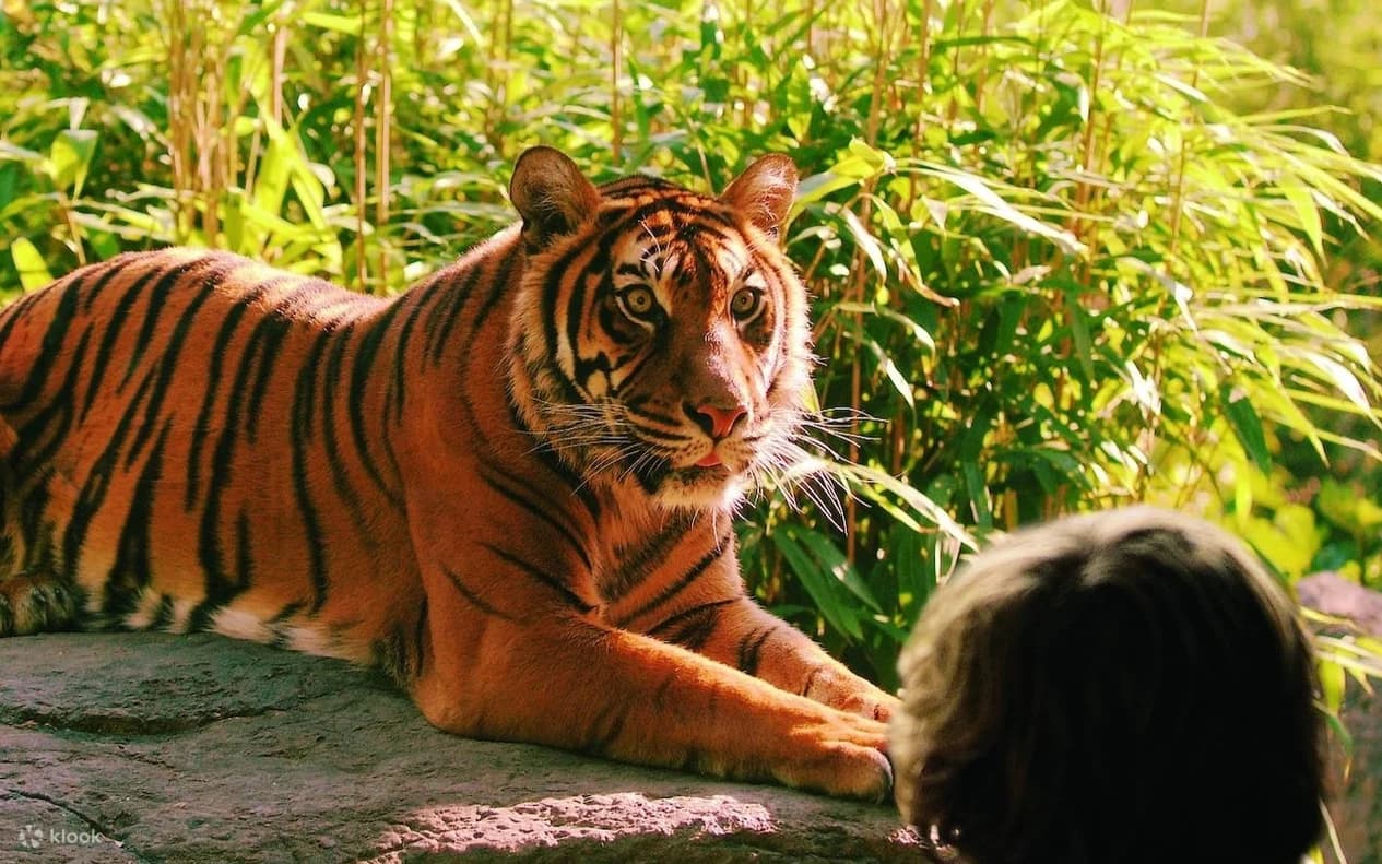 Zoos in Rotterdam | TickYourList