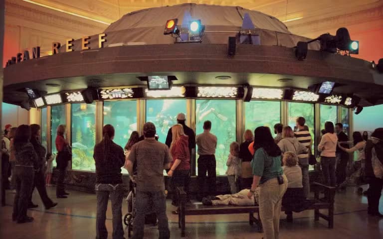 Aquariums-SheddAquarium-Chicago-Grant-Park-5K-Running-Tour-02.avif