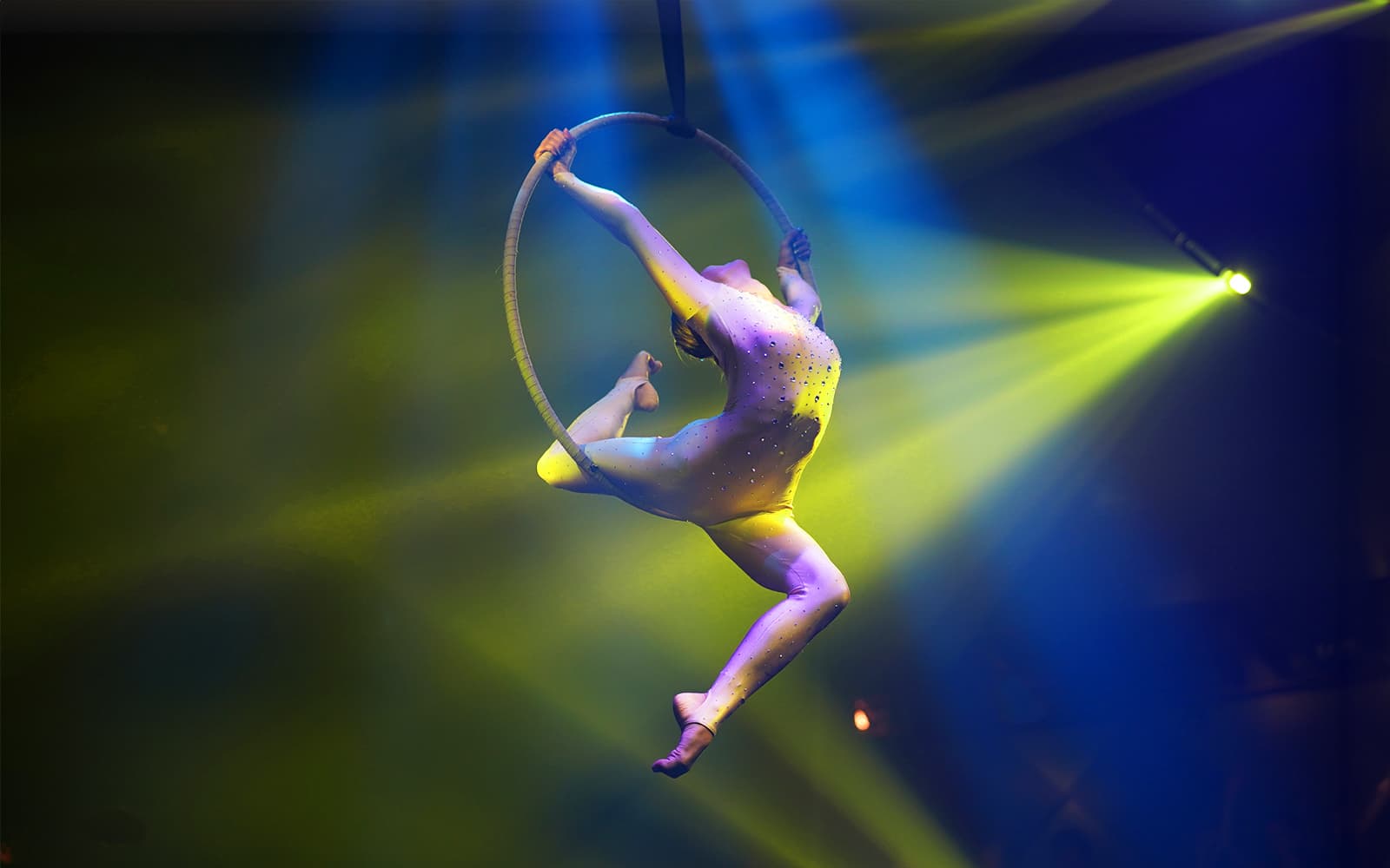 Circus Shows in Calgary | TickYourList